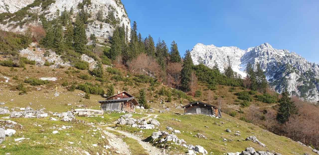 Ferienwohnung Sappl Scheffau am Wilden Kaiser Exterior foto