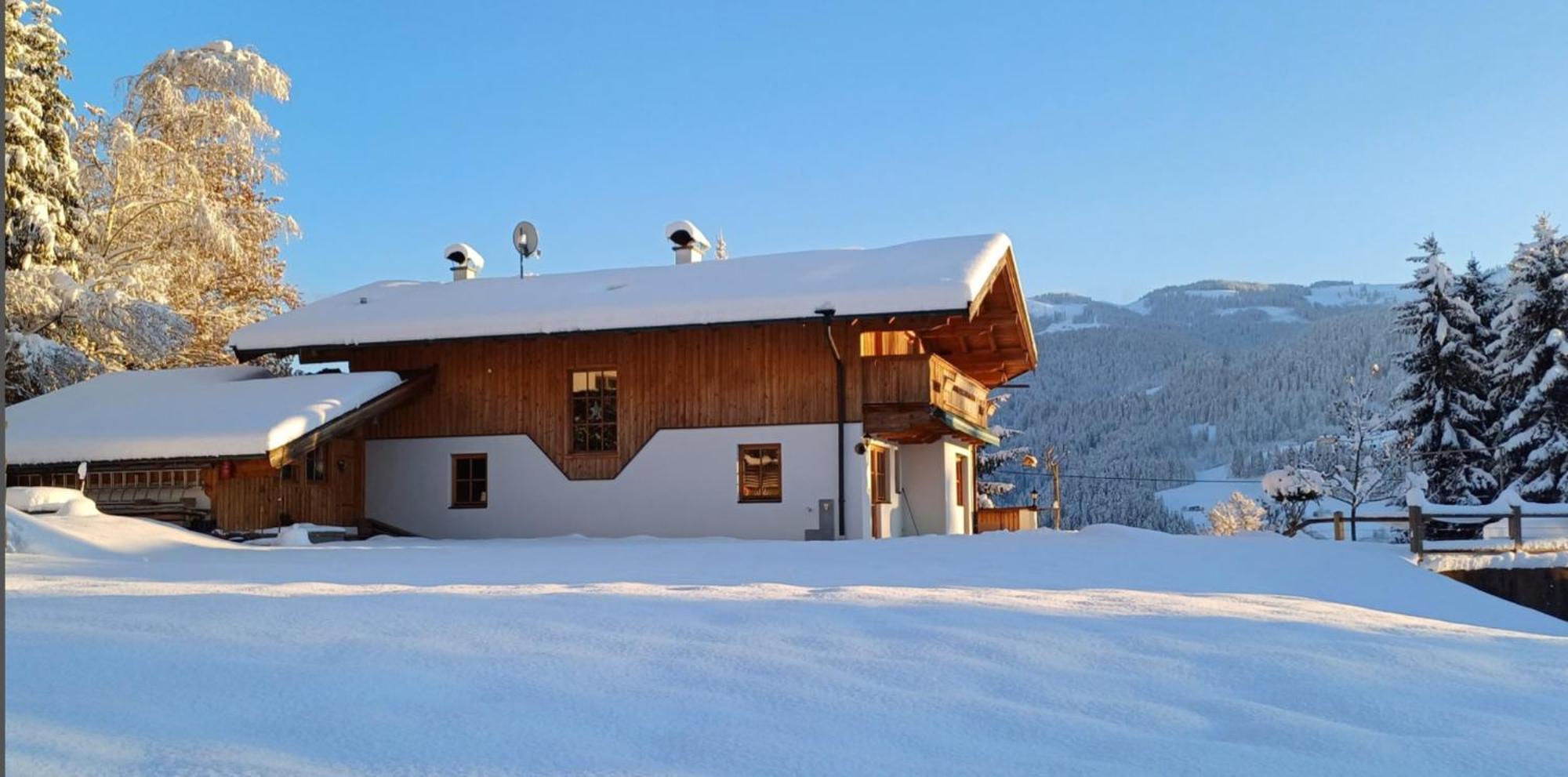 Ferienwohnung Sappl Scheffau am Wilden Kaiser Exterior foto
